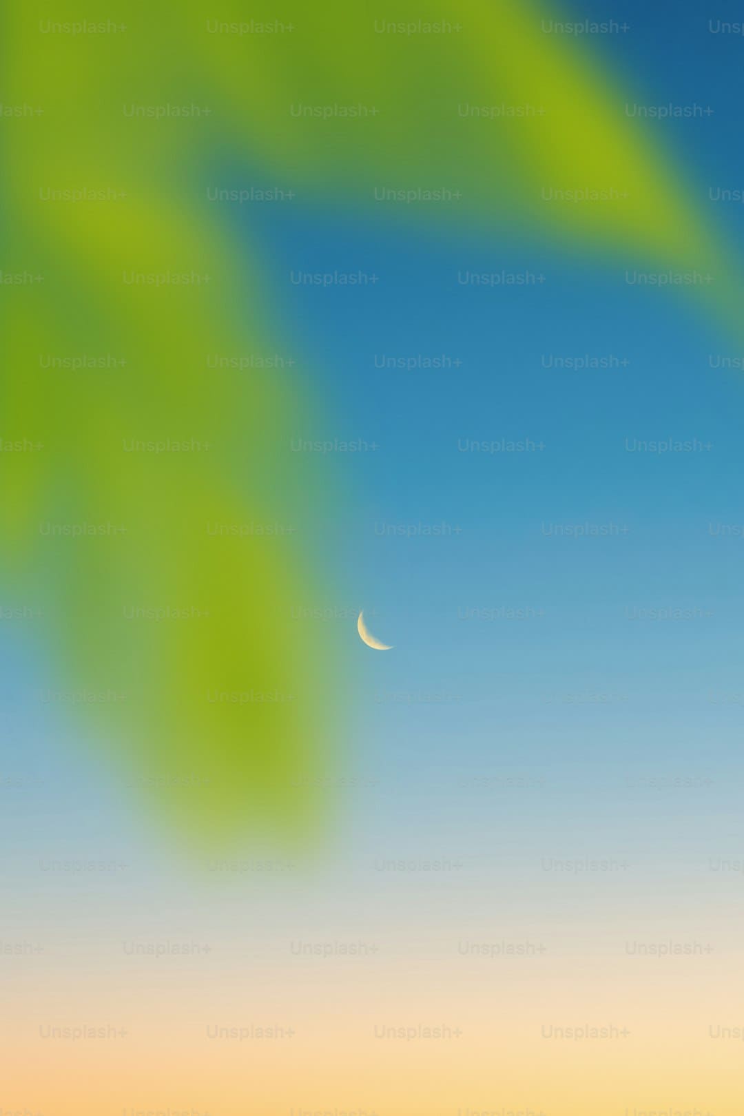 韩网票选LPL最佳阵容 一阵TheShy领衔